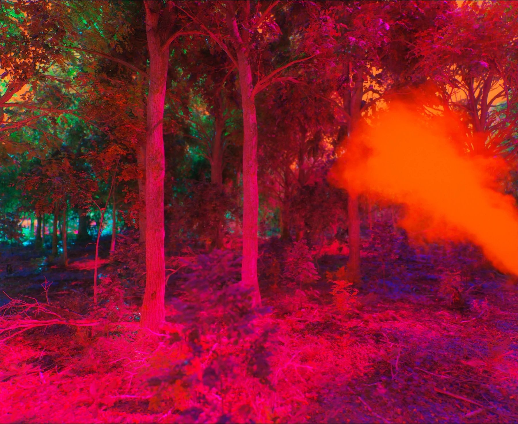 Fire, forget with me